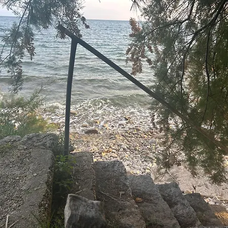 Ory Lovrečica