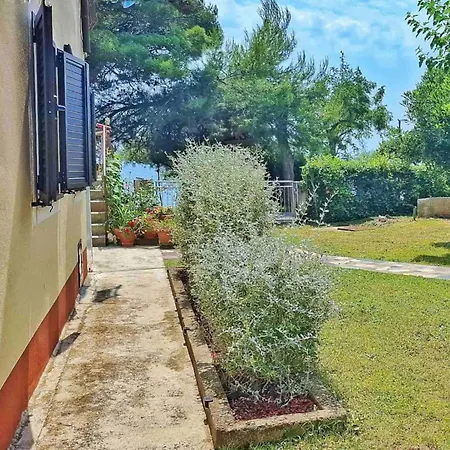 Ory * Lovrečica